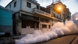 El estado cubano no tiene recursos para realizar una campaña efectiva de saniamiento ambiental.